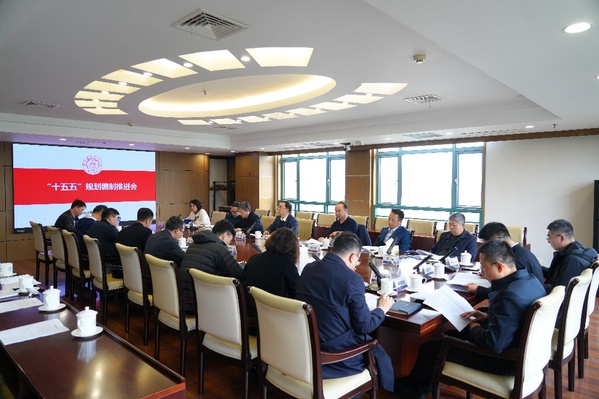我校召开“十五五”妄想体例准备会
