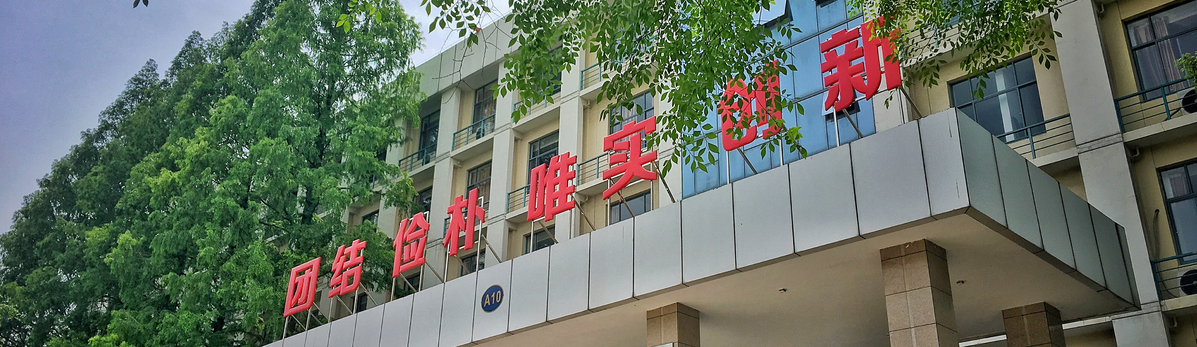 大学文化