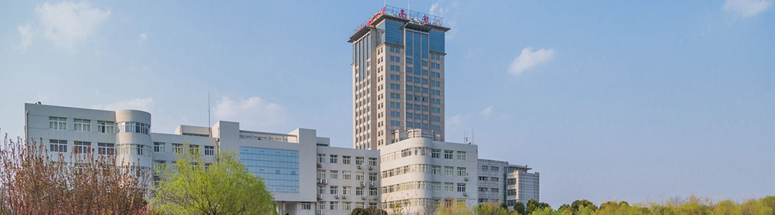 行政部分